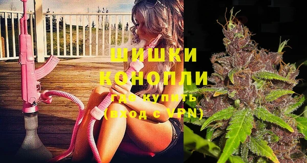мдпв Лагань