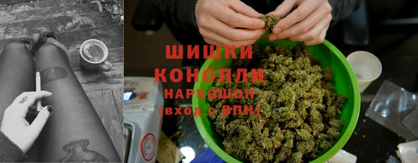 мдпв Лагань
